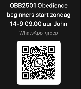 obb2501